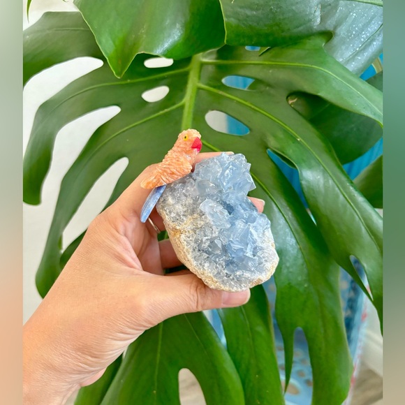 Parrot carving on Celestite